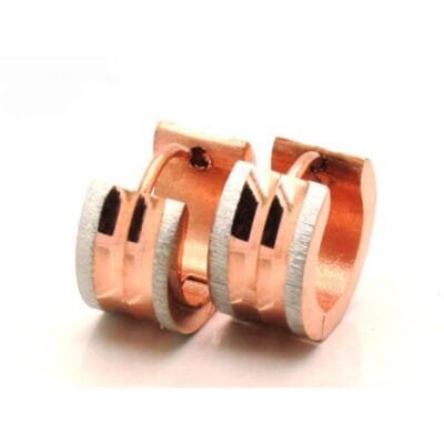 Σκουλαρίκια Stainless Steel κρίκοι μικροί δίχρωμοι