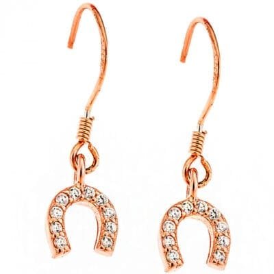 Σκουλαρίκια  Ασήμι 925°  Κρεμαστά με πέταλο