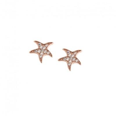Earrings Silver 925° Starfish stud with white zircon