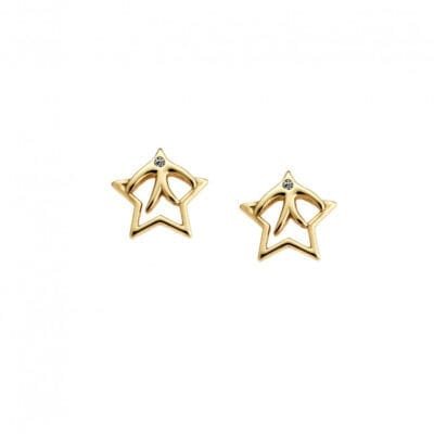 Silver earrings 925° with star