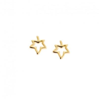 Earrings Silver 925° Stud with leaf design