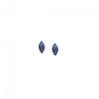 Earrings silver 925, leaf with blue cubic zirconia