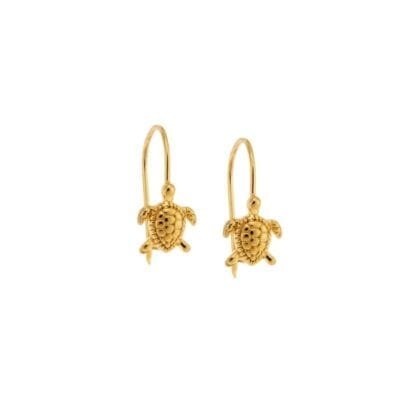 Silver 925° earrings with ring and turtle