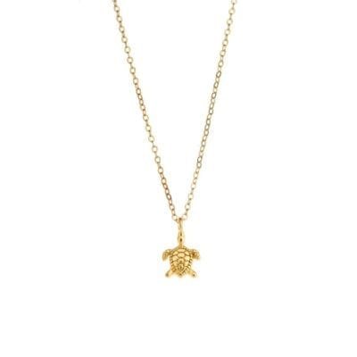 Κολιέ  Ασήμι 925° Μενταγιόν με  χελωνάκι μικρό