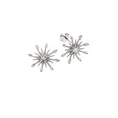 Σκουλαρίκια Ασήμι 925° Καρφωτά με  αστέρι με λευκά ζιργκόν