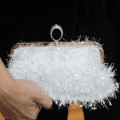 Τσαντάκι Clutch με κλείδωμα δαχτυλίδι με φτερά και πούλιες