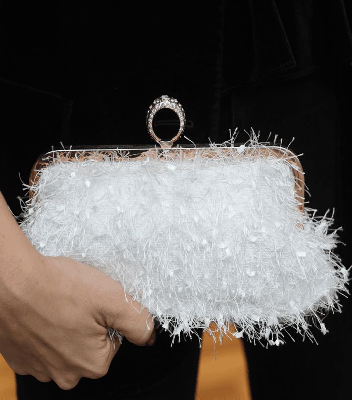 Τσαντάκι Clutch με κλείδωμα δαχτυλίδι με φτερά και πούλιες