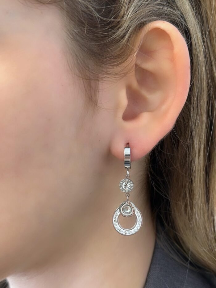 Stainless Steel Earrings Stainless Steel hoop earrings with hanging circles and stones