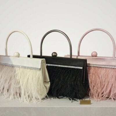Τσαντάκι Clutch με φτερά